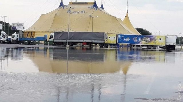 Фото Олега Зигангирова- фото 188336