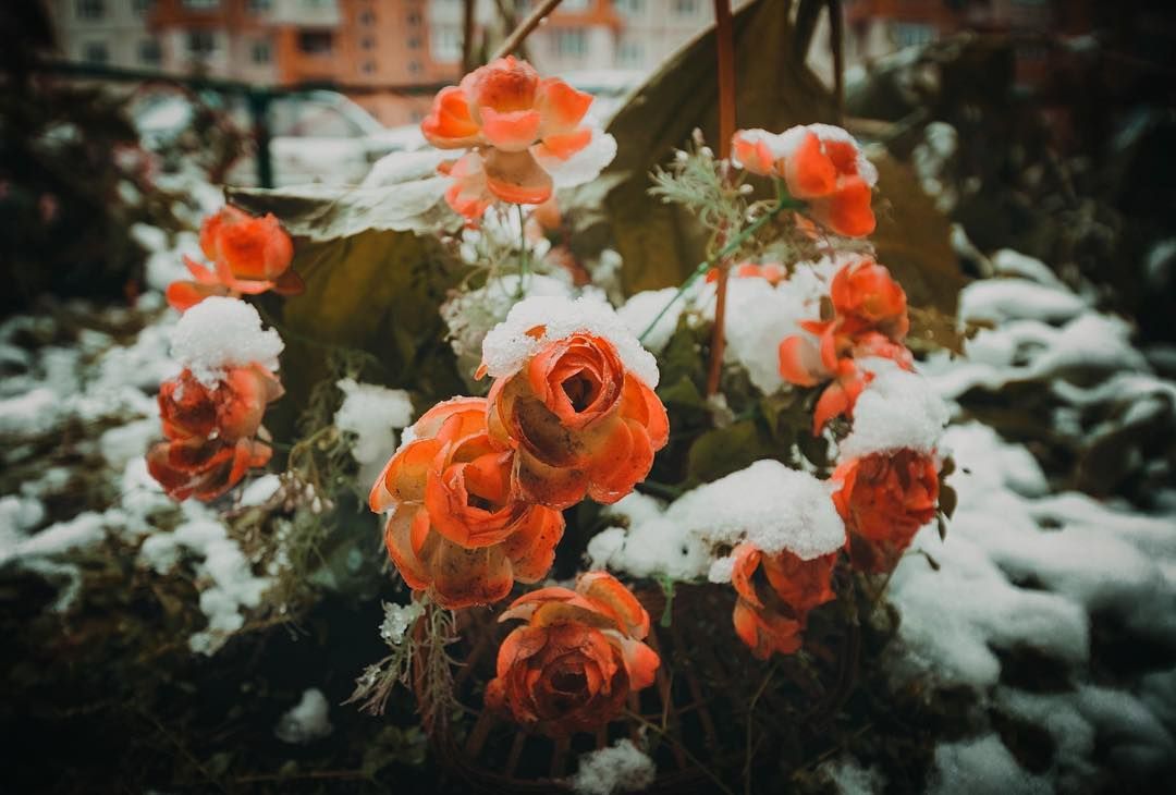 Росію знову засипало 