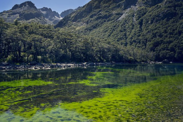 Це найчистіше озеро в світі, але купатися в ньому не можна. Ось чому! - фото 187551