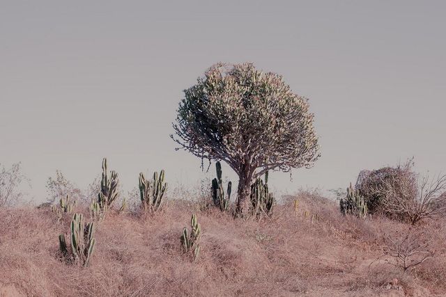 Древня столиця М'янми сьогодні: вражаючі фото - фото 189079