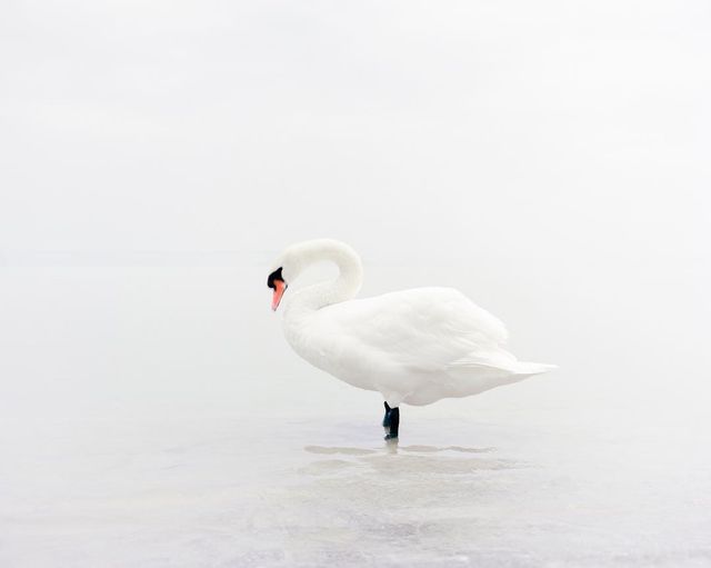 Відпочинок для очей: мінімалістичні фото, які заворожують - фото 192306