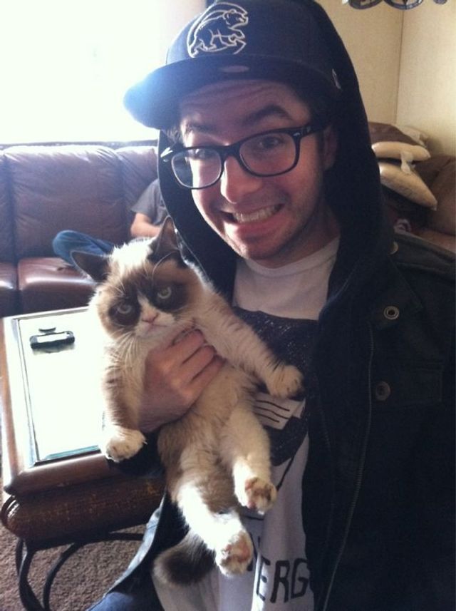 Коли котики не в захваті від селфі: кумедні фото - фото 189098