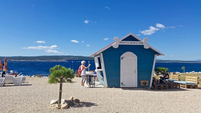 Ніяких котів! У Хорватії працює бар для собак - фото 191296