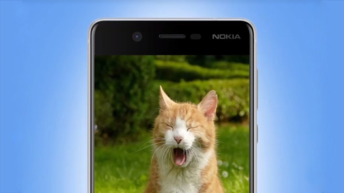 Любов до котиків розкрила дизайн майбутньої Nokia 8 - фото 1