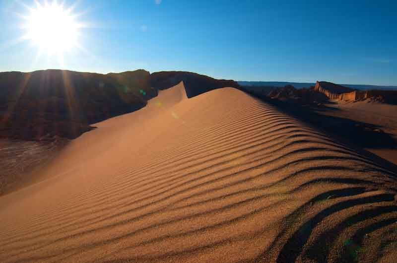 Розцвіла найбільш посушлива в світі пустеля: вражаюче фото