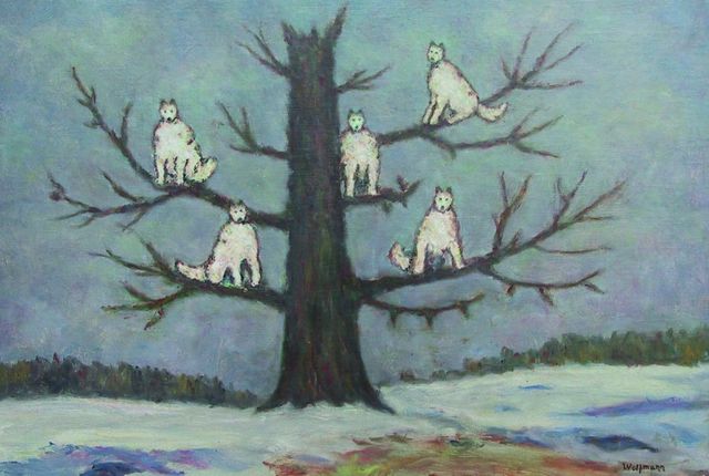 Садиба Людини-вовка – улюбленого пацієнта Фрейда - фото 187440