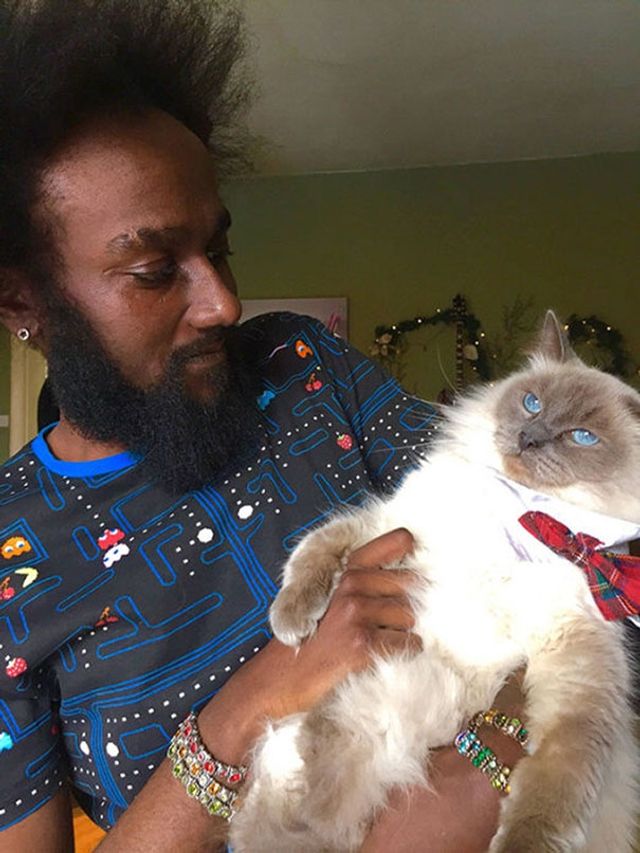 Коли котики не в захваті від селфі: кумедні фото - фото 189106