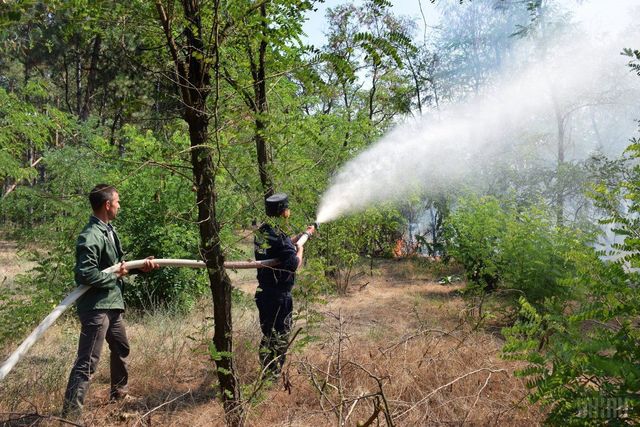 Українців попередили про найвищий рівень пожежної небезпеки - фото 190645
