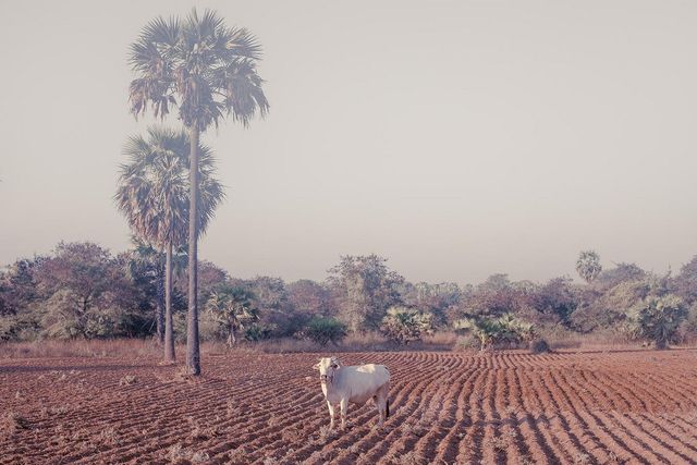 Древня столиця М'янми сьогодні: вражаючі фото - фото 189090