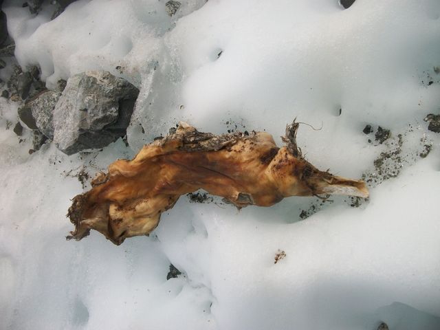 Виявлена моторошна знахідка, якій понад 50 років - фото 185899