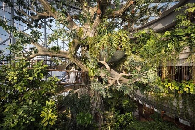 Як виглядає життя багатіїв Дубая: вражаючі фото - фото 188678