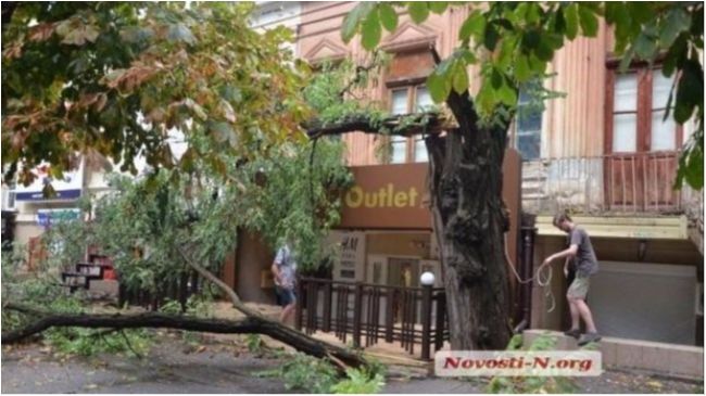 Миколаїв - фото 1