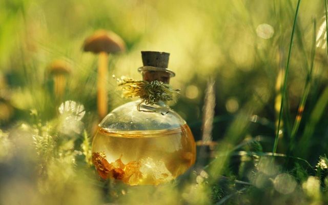 Ось чому треба їсти часниковий мед щодня - фото 186774