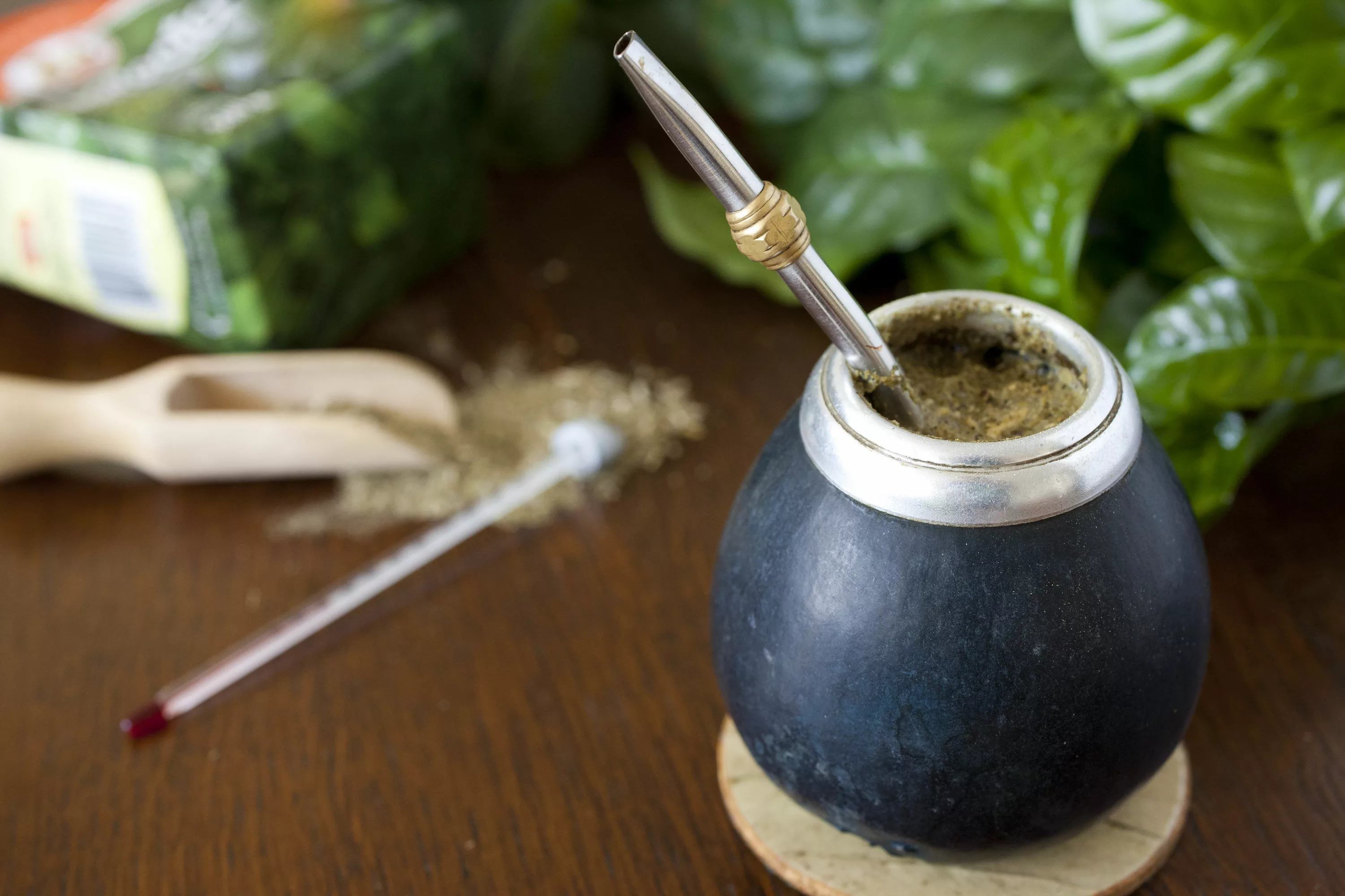 Три вагомі причини щодня пити чай мате