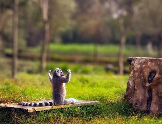 Ці речі необхідно зробити до 10 ранку - фото 187088