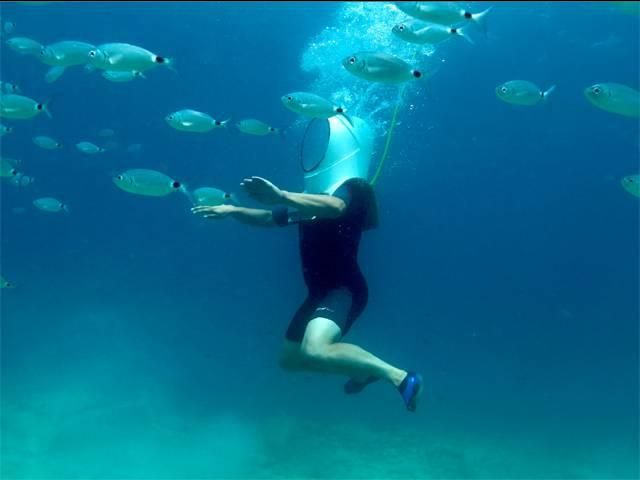 В Хорватії можна прогулятись підводним парком: вражаючі фото - фото 186822