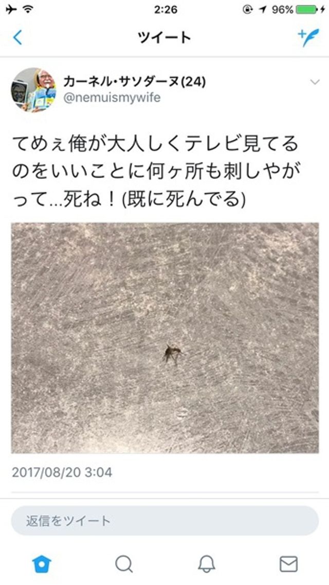 Twitter видалив аккаунт користувача через загрозу життю комара - фото 192636