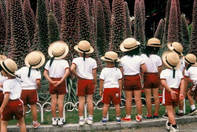 ТОП-6 уроків зі всього світу, які викликають заздрість у наших школярів - фото 191796