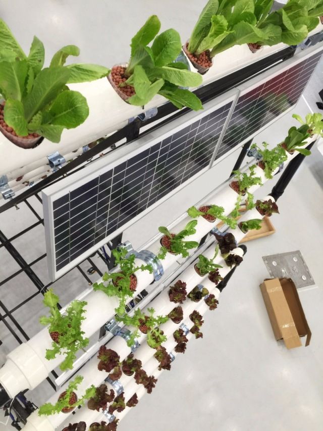 Міні-город, який можна перевозити з місця на місце - фото 186758