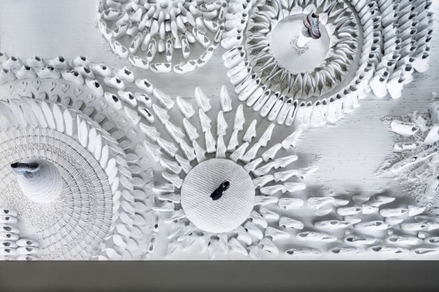 Не сад, а мрія! Як Nike креативно святкує ювілей - фото 187691