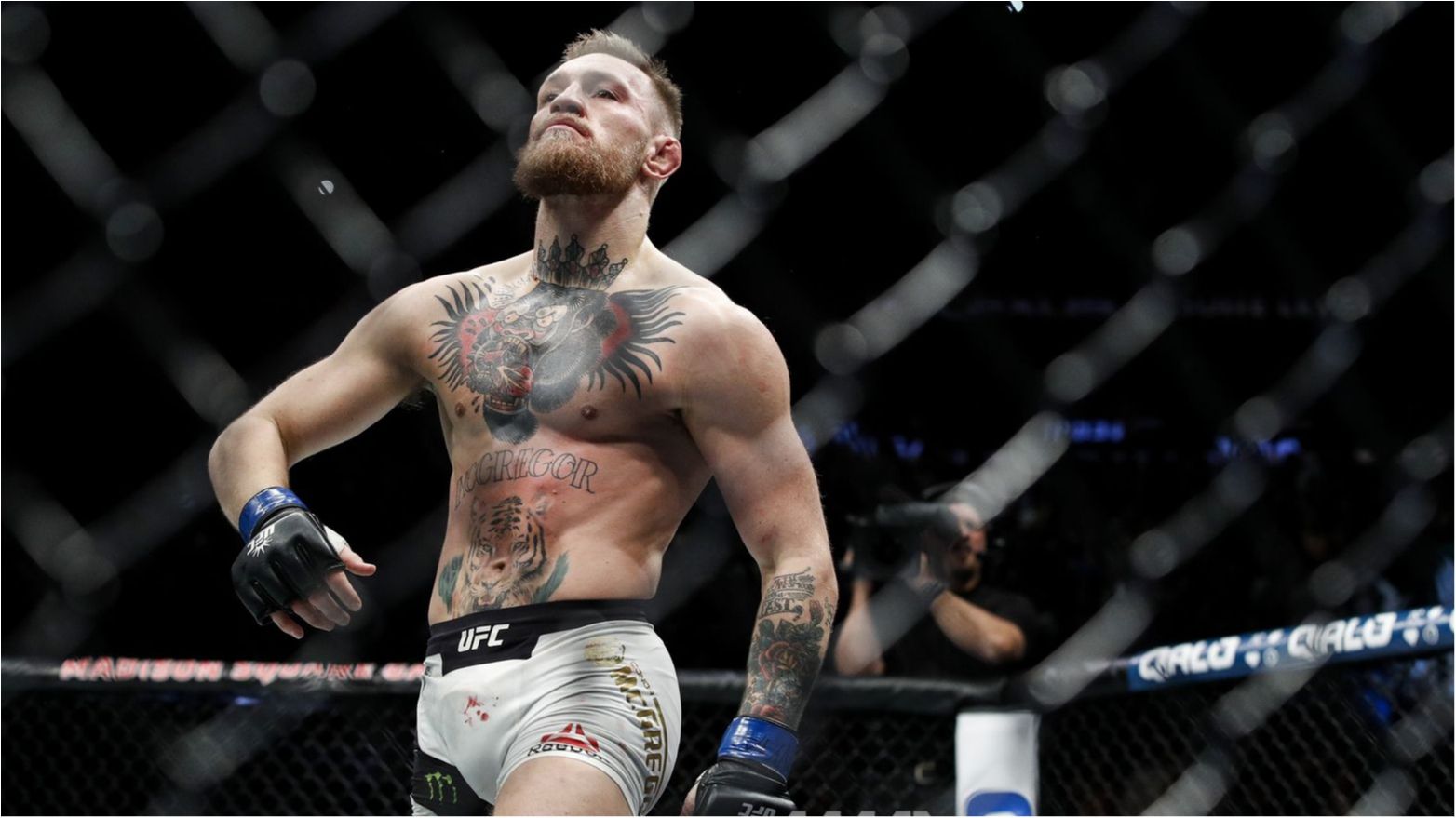 МакГрегор зухвало прокоментував майбутній бій з Мейвезером