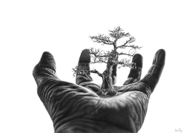 Неймовірно! На ці фото потрібно поглянути двічі - фото 192089