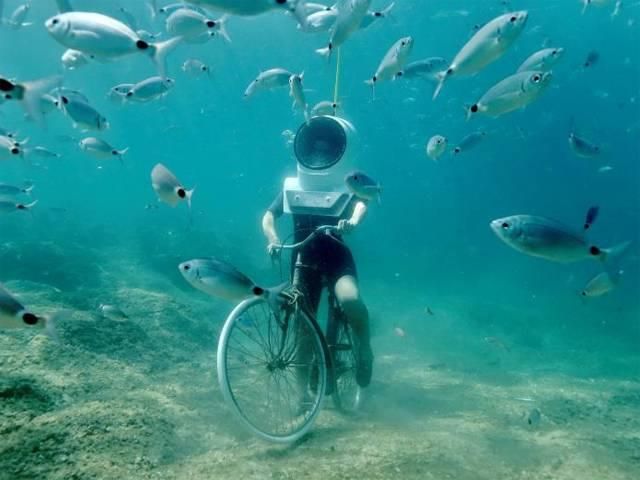 В Хорватії можна прогулятись підводним парком: вражаючі фото - фото 186823