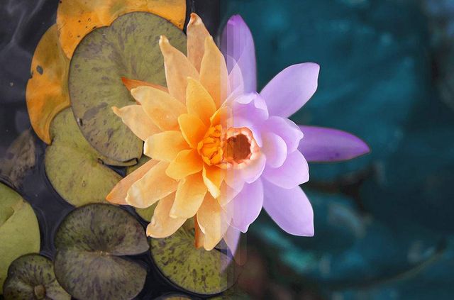 Фотограф показав, наскільки схожі пейзажі в різних куточках світу - фото 192798