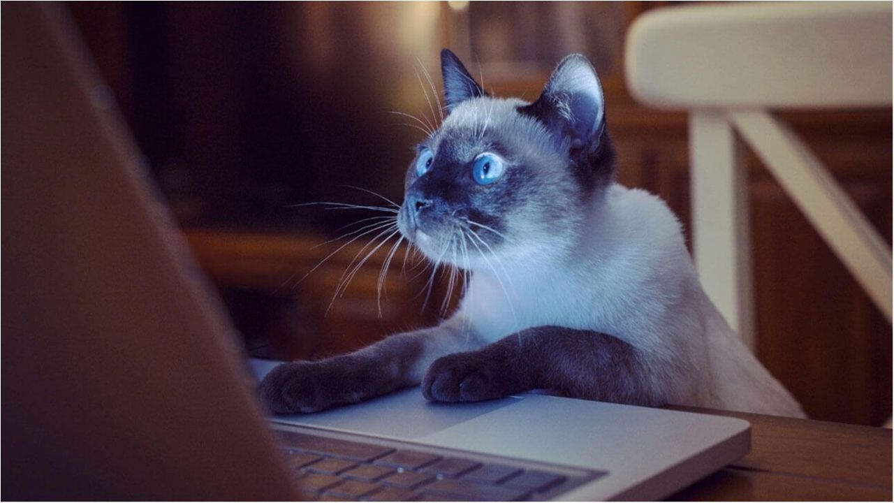 Ще одна функція з'явилася у соцмережі Ukrainians