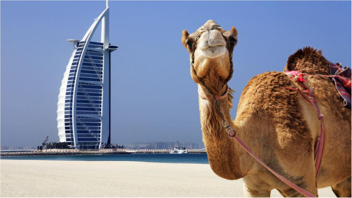 В ОАЕ щороку приїжджають мільйони туристів - фото 1