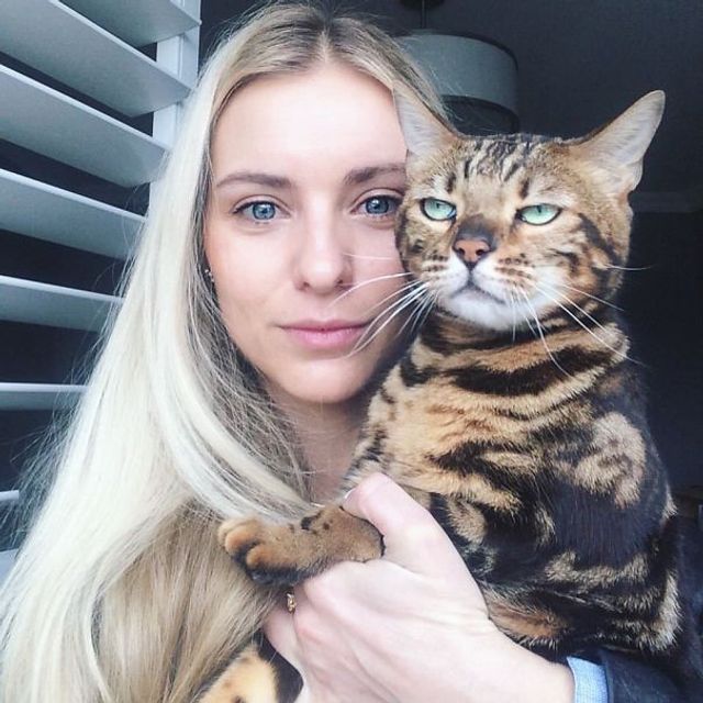 Коли котики не в захваті від селфі: кумедні фото - фото 189099