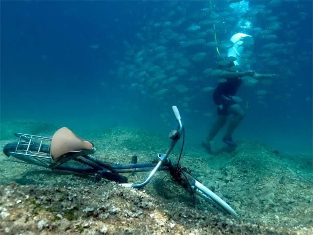 В Хорватії можна прогулятись підводним парком: вражаючі фото - фото 186826