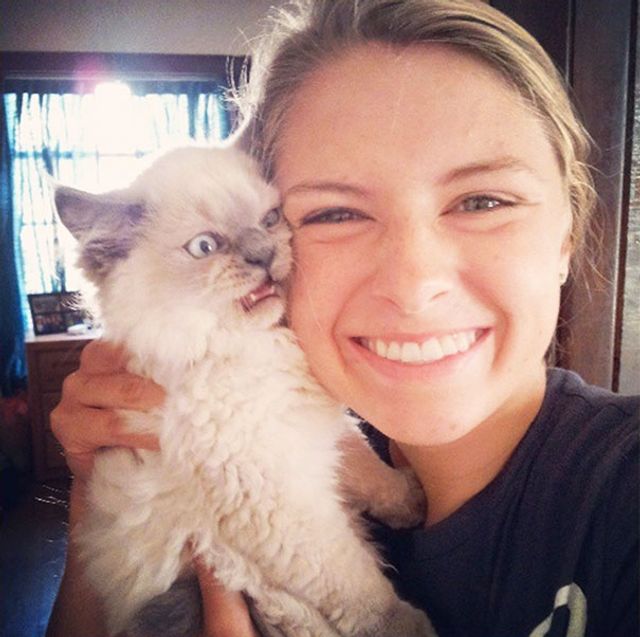 Коли котики не в захваті від селфі: кумедні фото - фото 189108