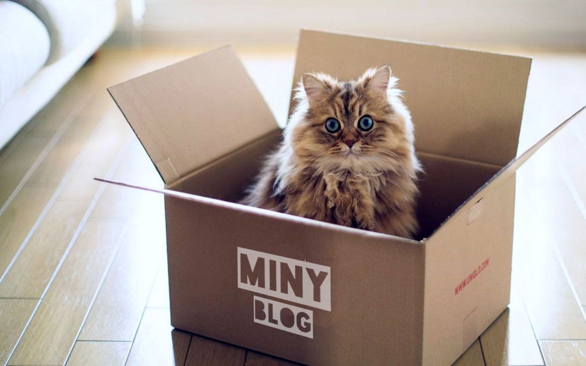 Як часті переїзди впливають на здоров'я