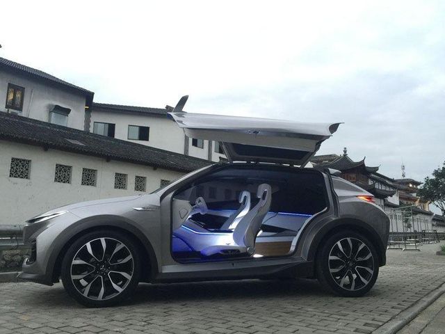 У Китаї показали свій варіант Tesla Model X - фото 186683