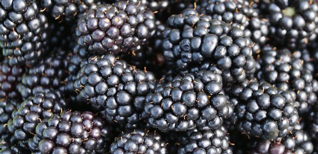 Названі найбільш корисні фрукти для чоловіків - фото 187883