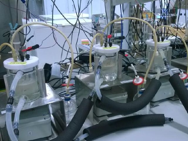 Новий прорив вчених: навчились добувати їжу з повітря - фото 185859