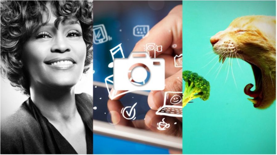 Українські зірки-вегетаріанці та новий функціонал Ukrainians: 9 серпня у трьох фото