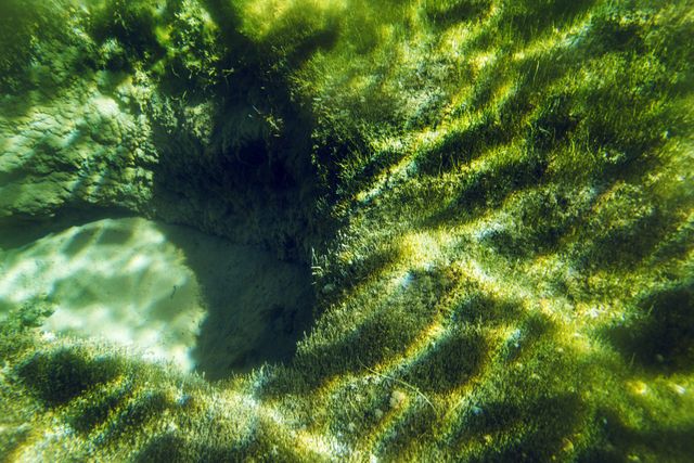 Це найчистіше озеро в світі, але купатися в ньому не можна. Ось чому! - фото 187553