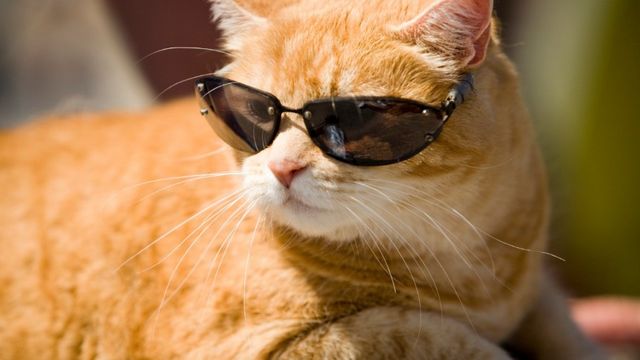 Як пережити спеку: 5 важливих порад - фото 185704