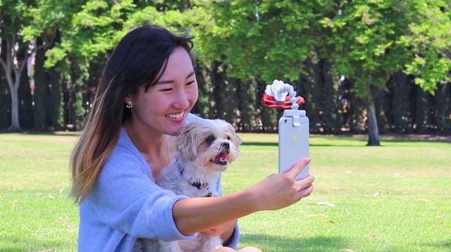Створено пристрій для безпроблемних селфі з домашніми улюбленцями: чарівні фото - фото 190084