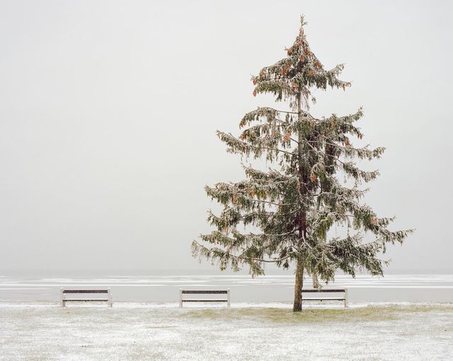 Відпочинок для очей: мінімалістичні фото, які заворожують - фото 192312