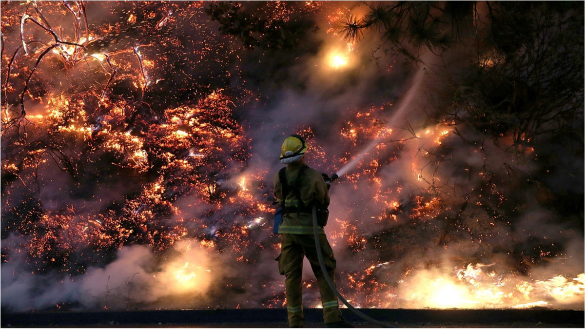 Червоний рівень пожежної небезпеки очікують і у вересні - фото 1