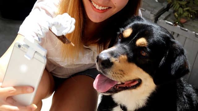 Створено пристрій для безпроблемних селфі з домашніми улюбленцями: чарівні фото - фото 190085