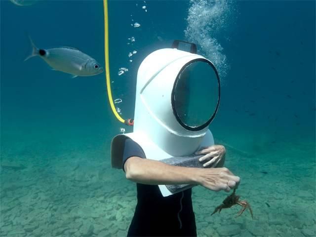 В Хорватії можна прогулятись підводним парком: вражаючі фото - фото 186824