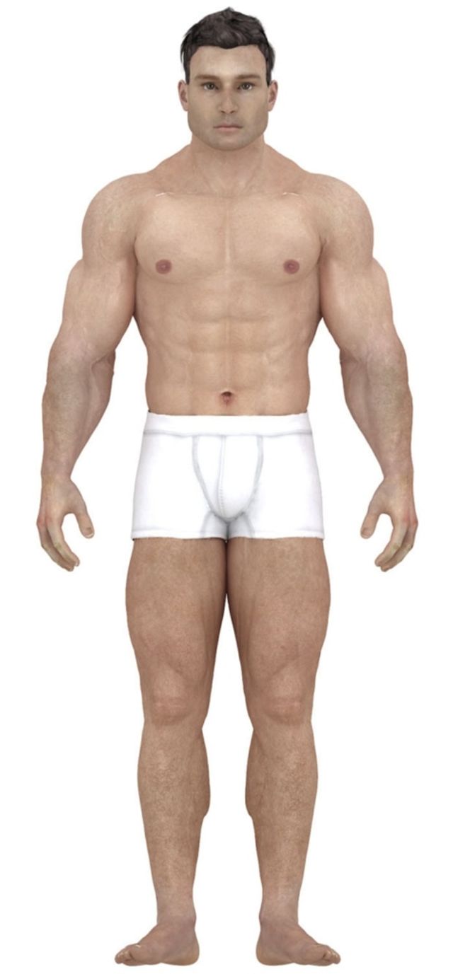 Ось як за останні 150 років змінилося уявлення про ідеальне чоловіче тіло - фото 186936