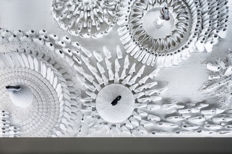 "Японський сад" з кросівок Nike - фото 1