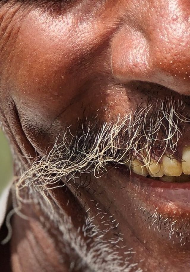 Професійний фотограф протестував камеру iPhone 8 Plus - фото 198271