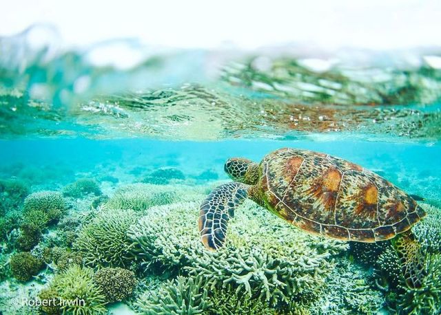 13-річний син відомого журналіста вразив своїми фото - фото 195296