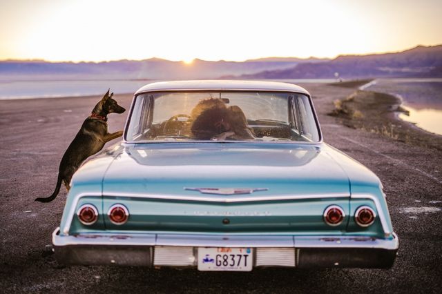 До мурашок: ці фото закоханих пар визнані найкращими в 2017 році - фото 193060